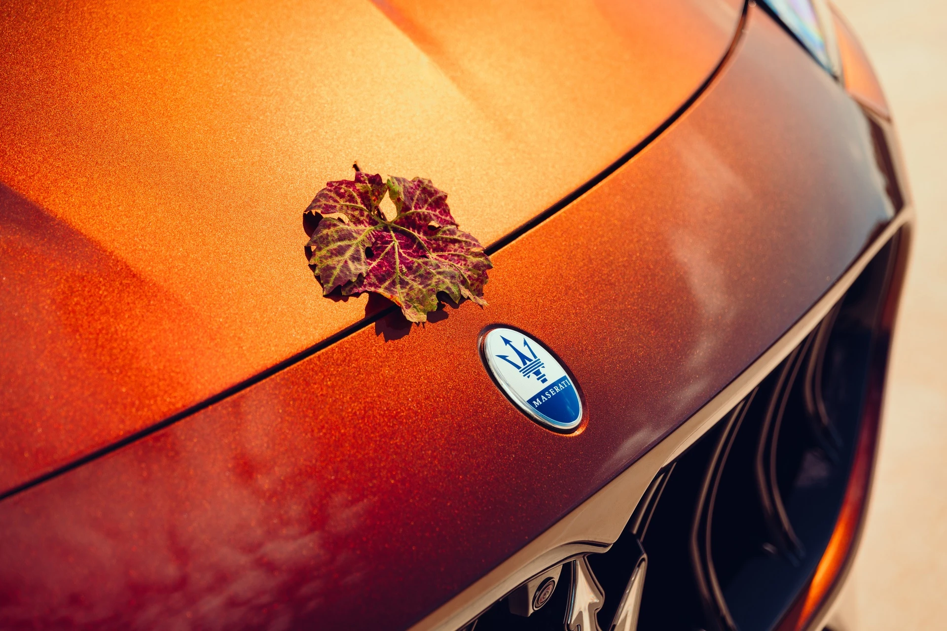 Maserati, Maserati Grecale, Maserati Fuoriserie, Fuoriserie, Grecale Tributo Il Bruciato, Maserati Grecale Tributo Il Bruciato